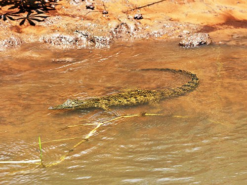 Parque Nacional da Quiçama